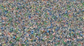 L’Italia consuma 6 miliardi di bottiglie di plastica in un anno
